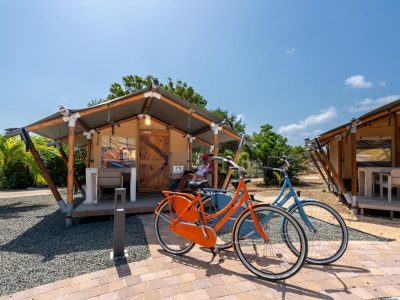 68F27DD43F75A95D47AE6153B6355CD0